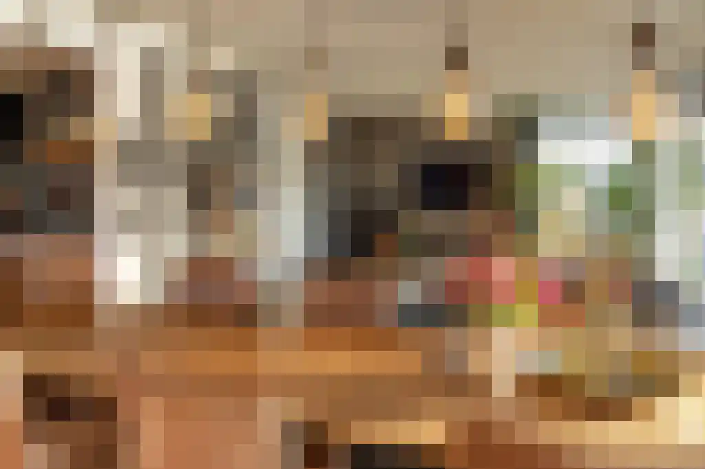 Appelhôf 5 Oudehaske thumbnail 14