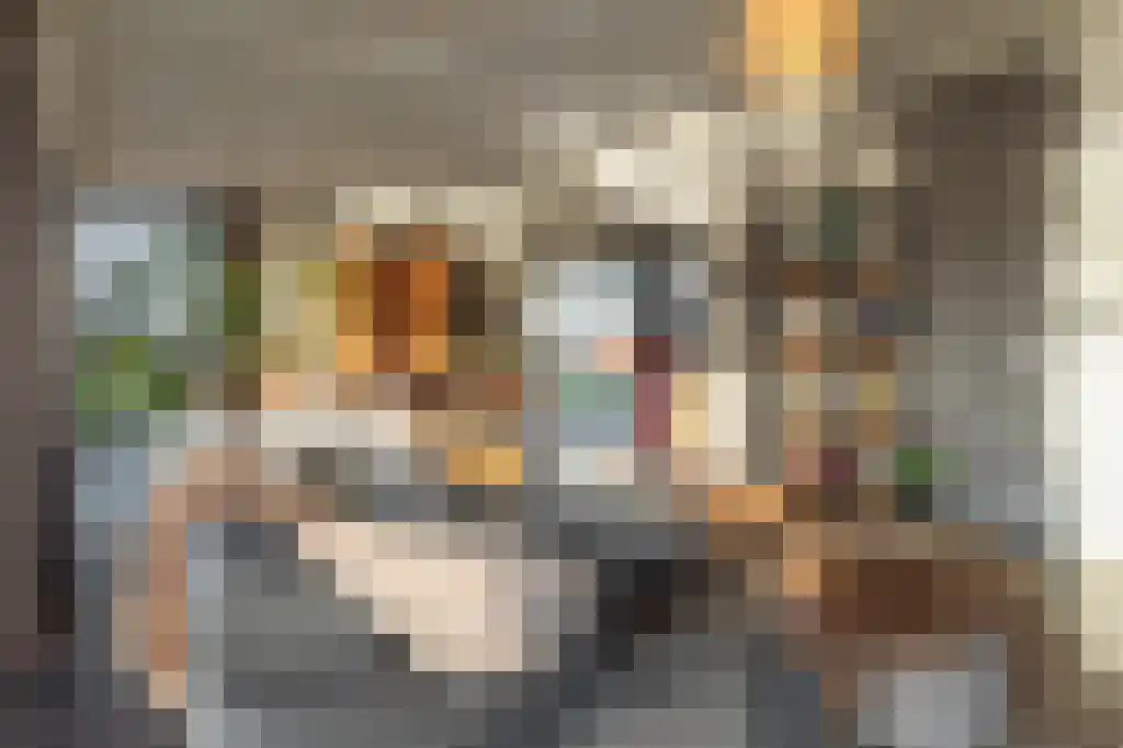 Appelhôf 5 Oudehaske thumbnail 17