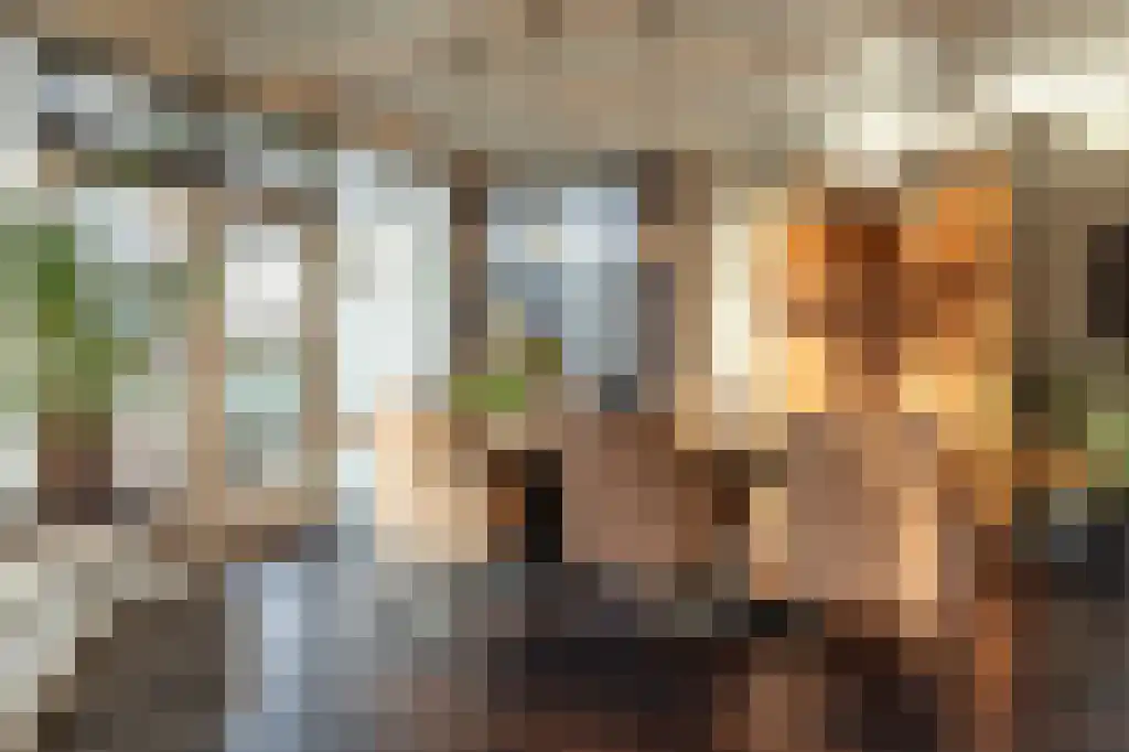 Appelhôf 5 Oudehaske thumbnail 18
