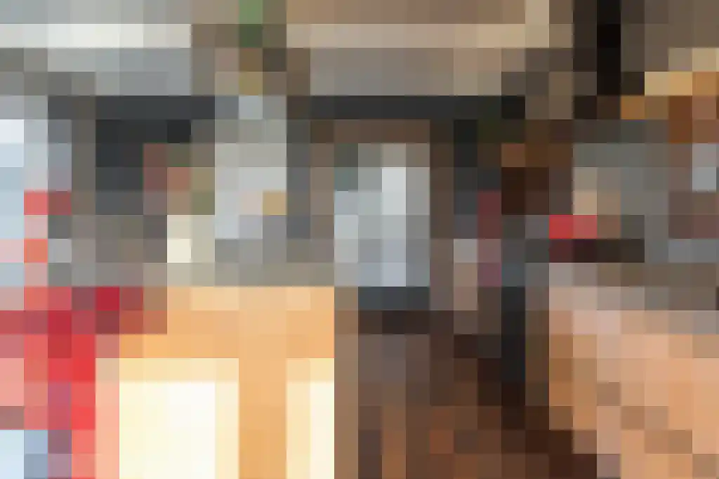 Appelhôf 5 Oudehaske thumbnail 20