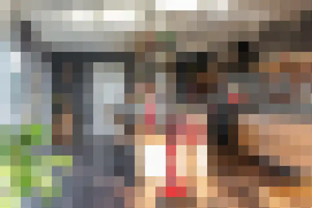 Appelhôf 5 Oudehaske thumbnail 21
