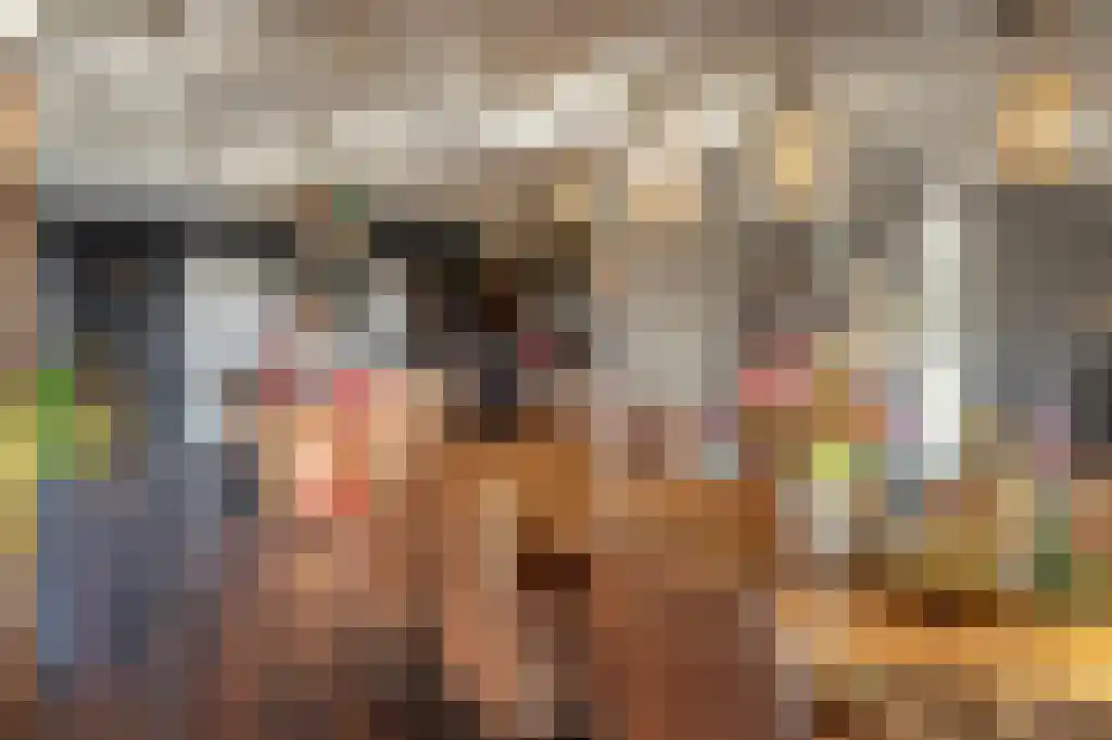 Appelhôf 5 Oudehaske thumbnail 25