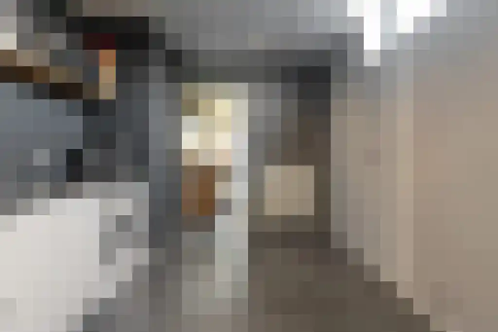 Appelhôf 5 Oudehaske thumbnail 26