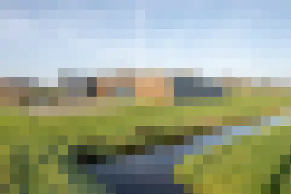 Appelhôf 5 Oudehaske thumbnail 4