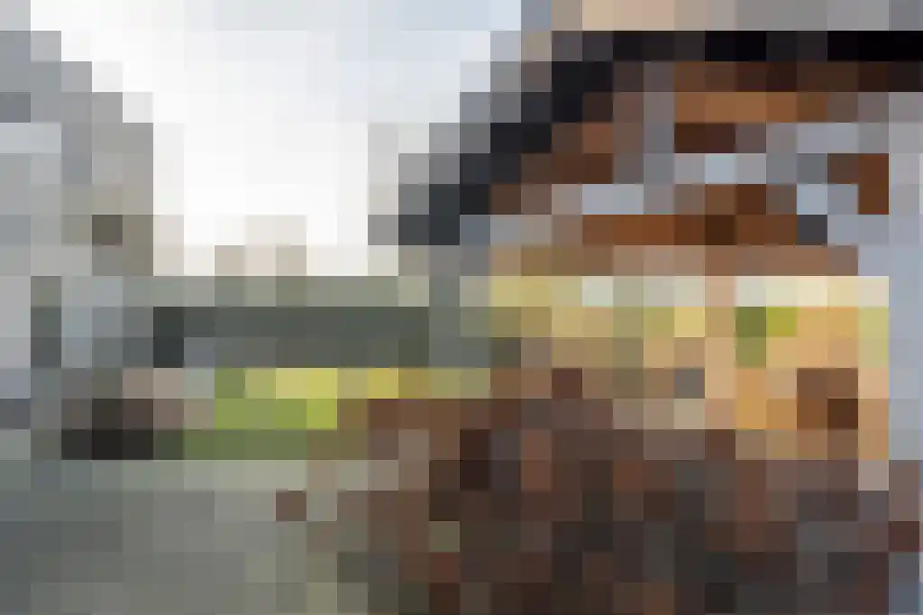 Appelhôf 5 Oudehaske thumbnail 41