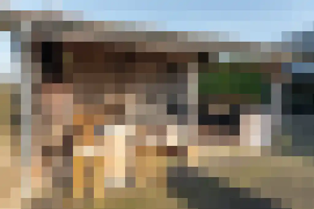 Appelhôf 5 Oudehaske thumbnail 43