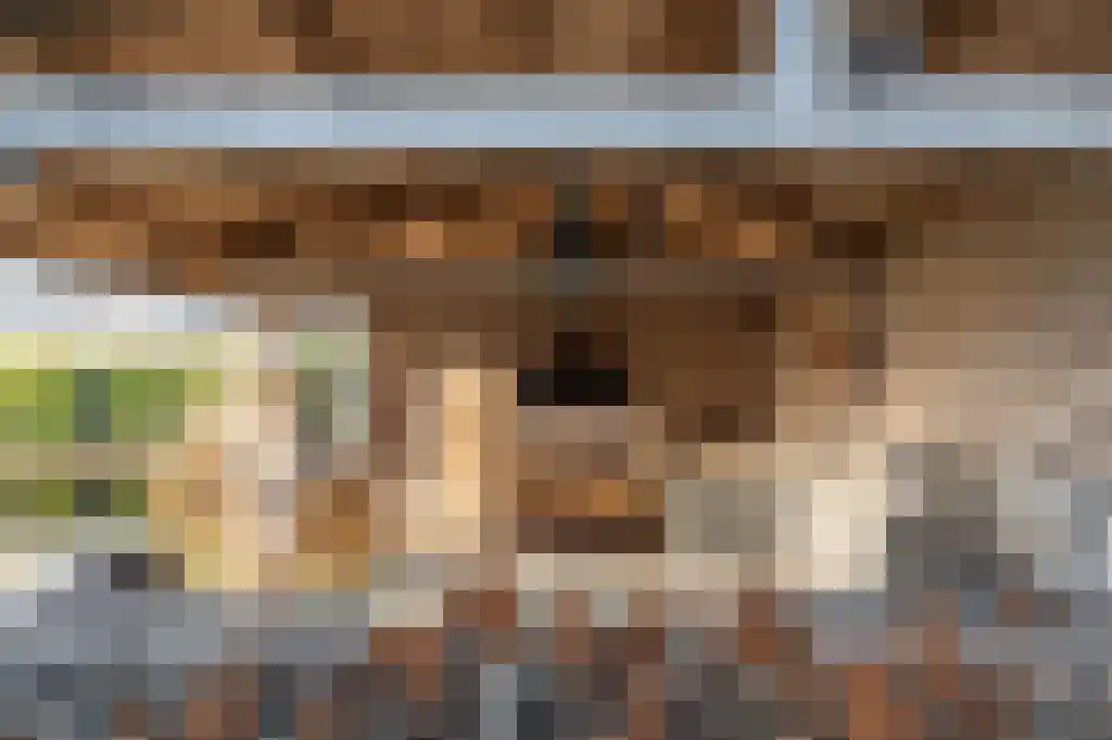 Appelhôf 5 Oudehaske thumbnail 44