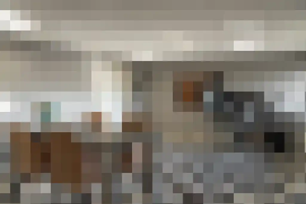 Appelhôf 5 Oudehaske thumbnail 45