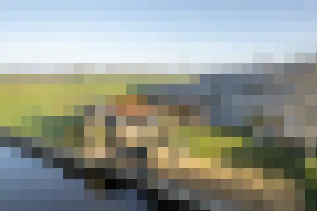 Appelhôf 5 Oudehaske thumbnail 5