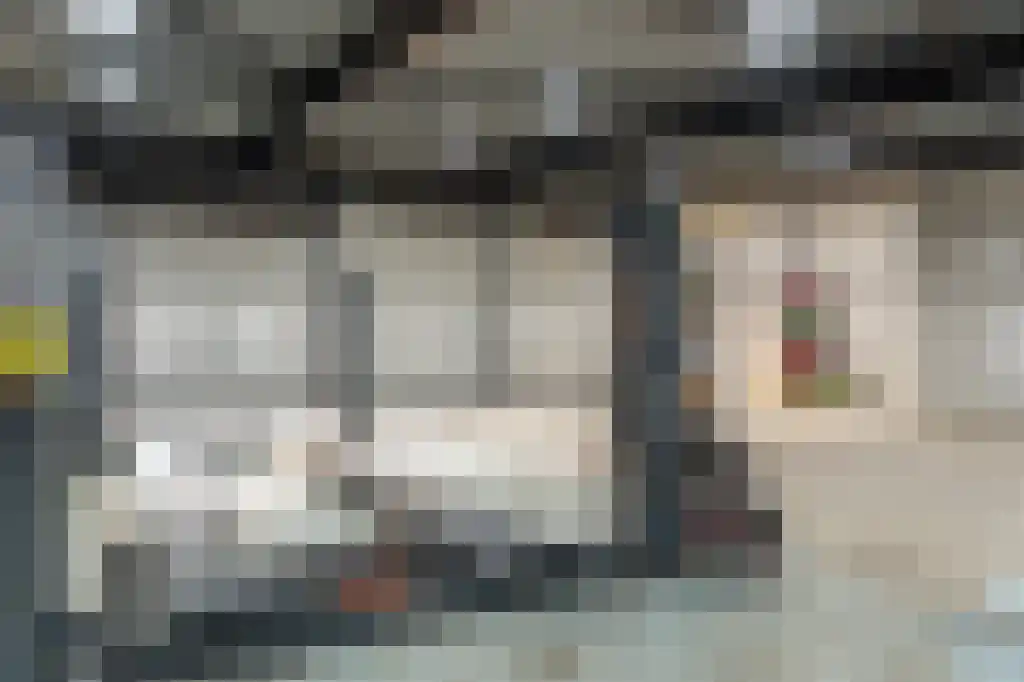 Appelhôf 5 Oudehaske thumbnail 56