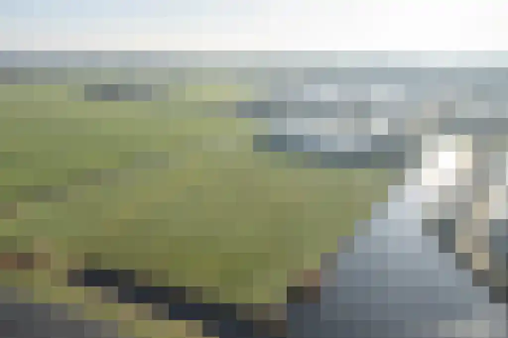 Appelhôf 5 Oudehaske thumbnail 60