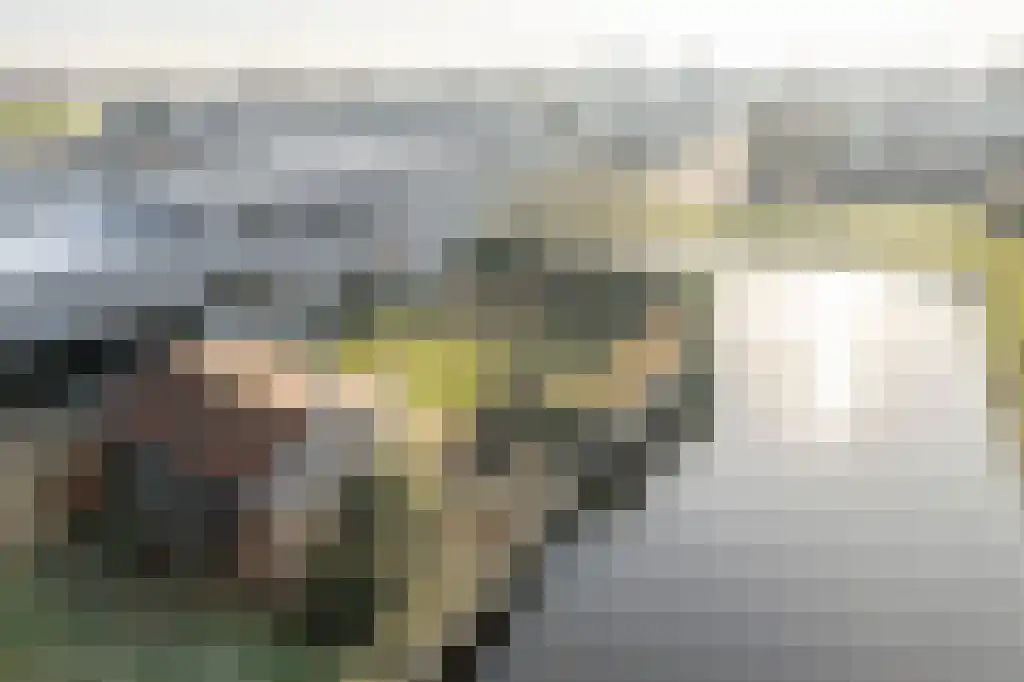 Appelhôf 5 Oudehaske thumbnail 7