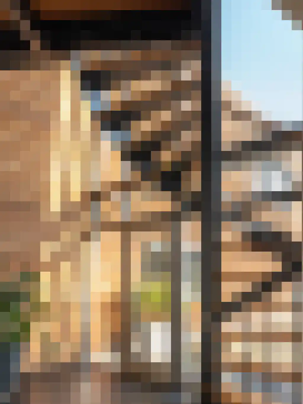 Appelhôf 5 Oudehaske thumbnail 9