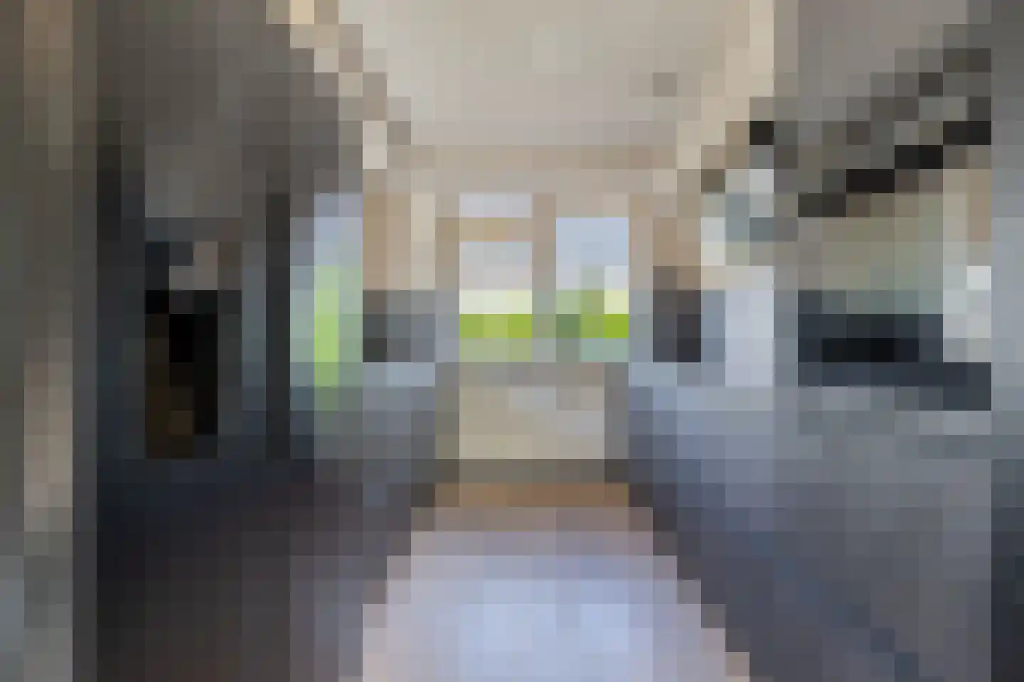 Appelhofshoeve 10 Steenwijk thumbnail 14