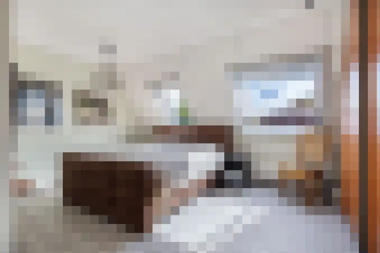 Appelhofshoeve 10 Steenwijk thumbnail 17