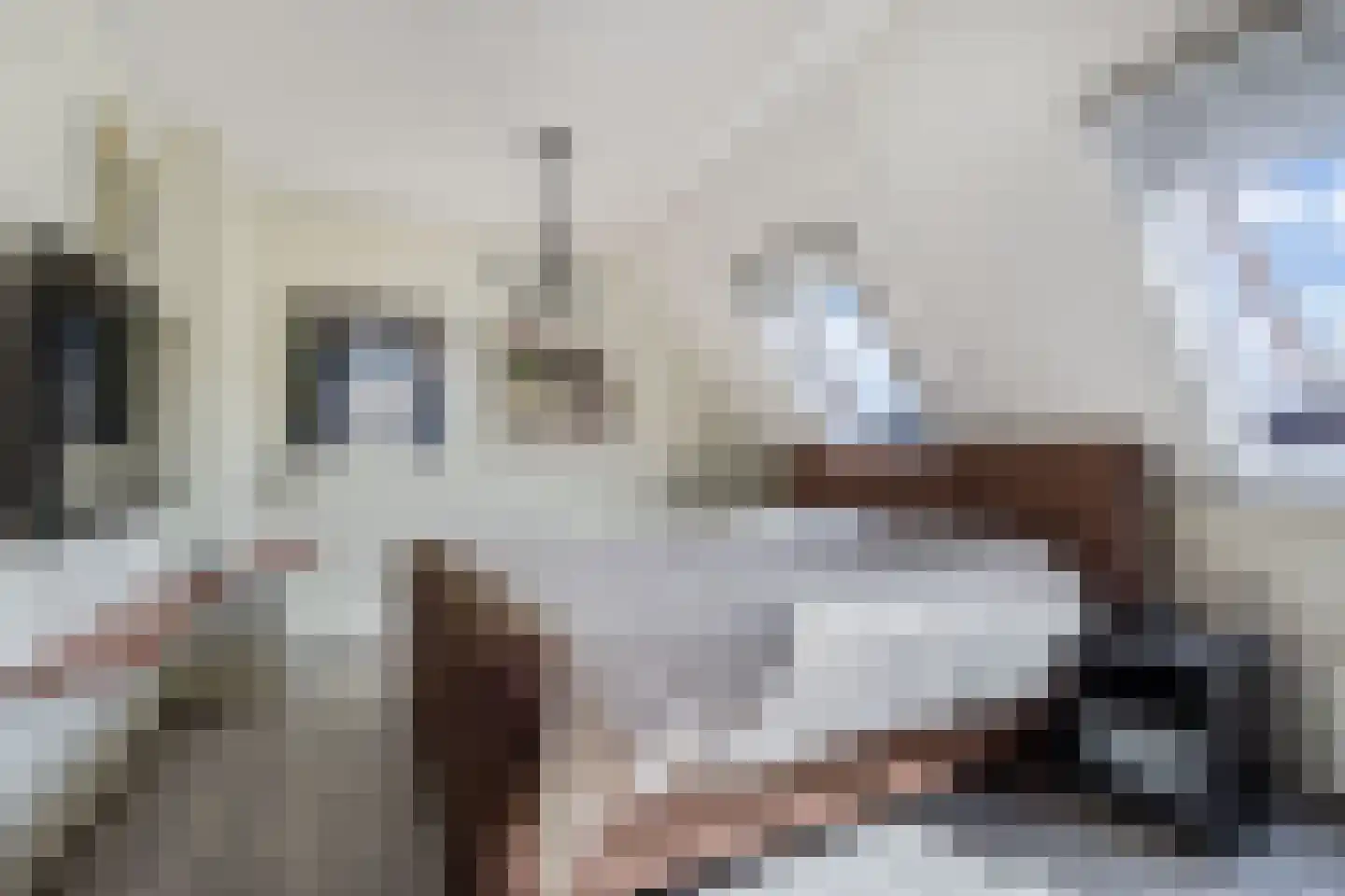 Appelhofshoeve 10 Steenwijk thumbnail 18