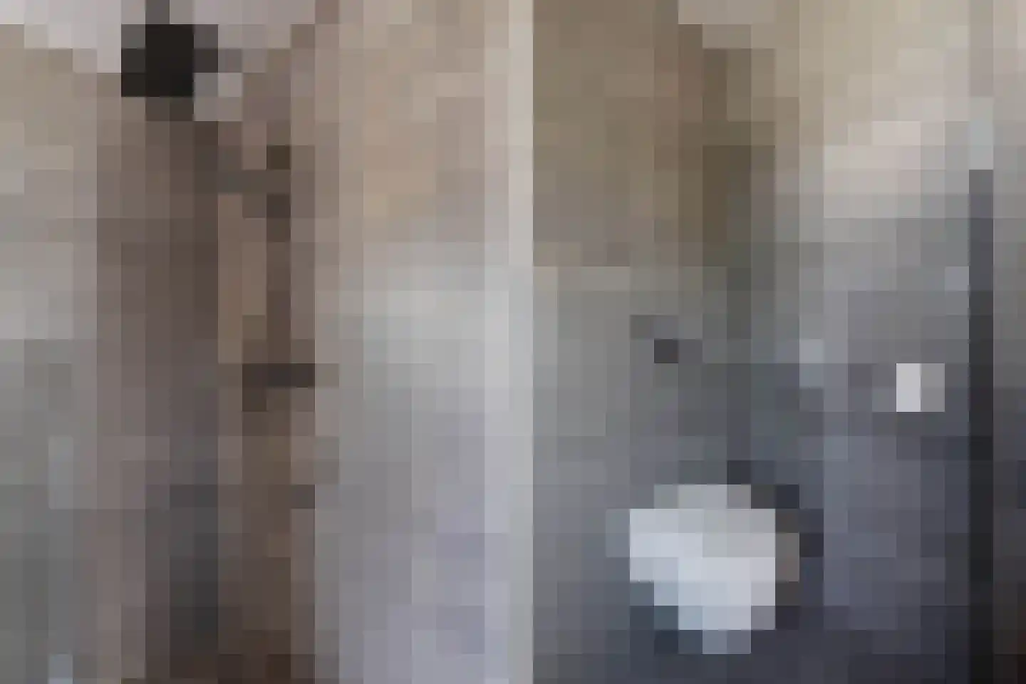 Appelhofshoeve 10 Steenwijk thumbnail 22