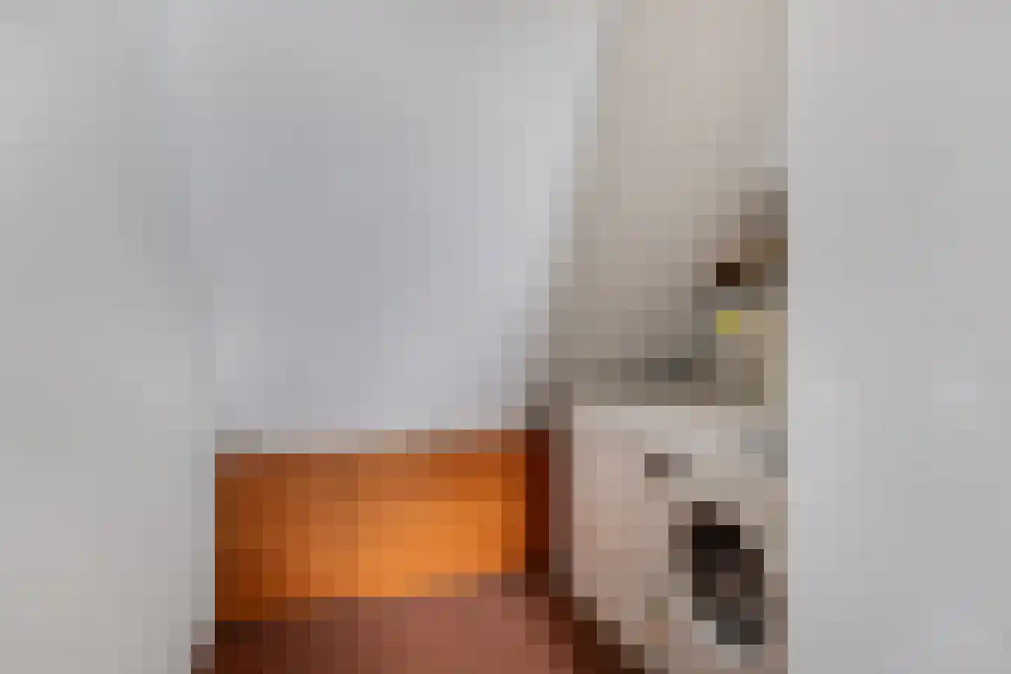 Appelhofshoeve 10 Steenwijk thumbnail 25