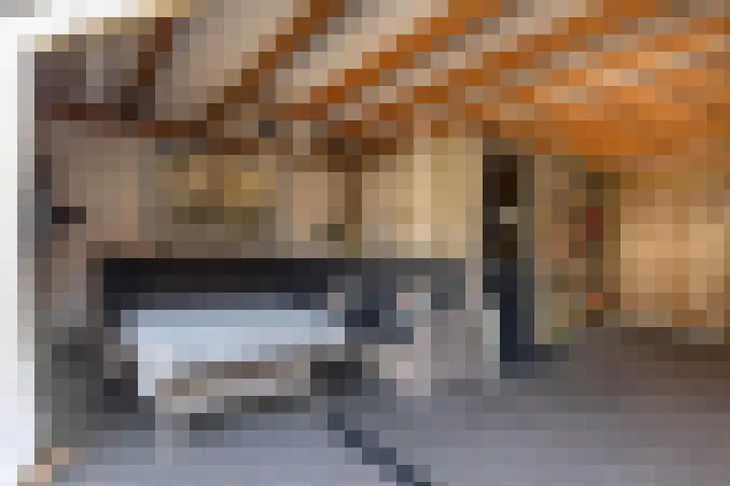 Appelhofshoeve 10 Steenwijk thumbnail 31