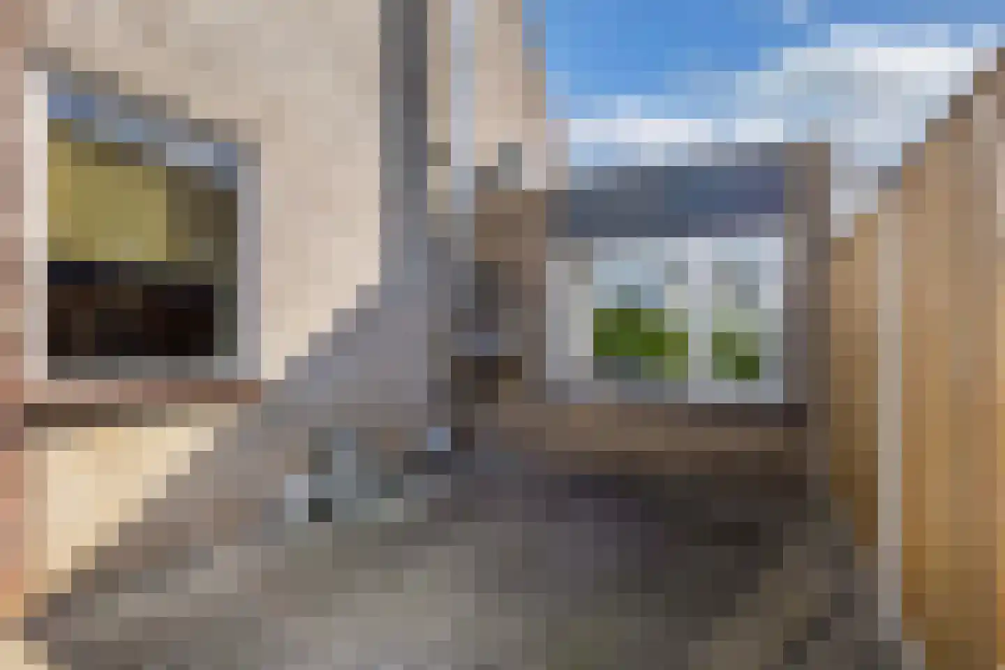 Appelhofshoeve 10 Steenwijk thumbnail 34