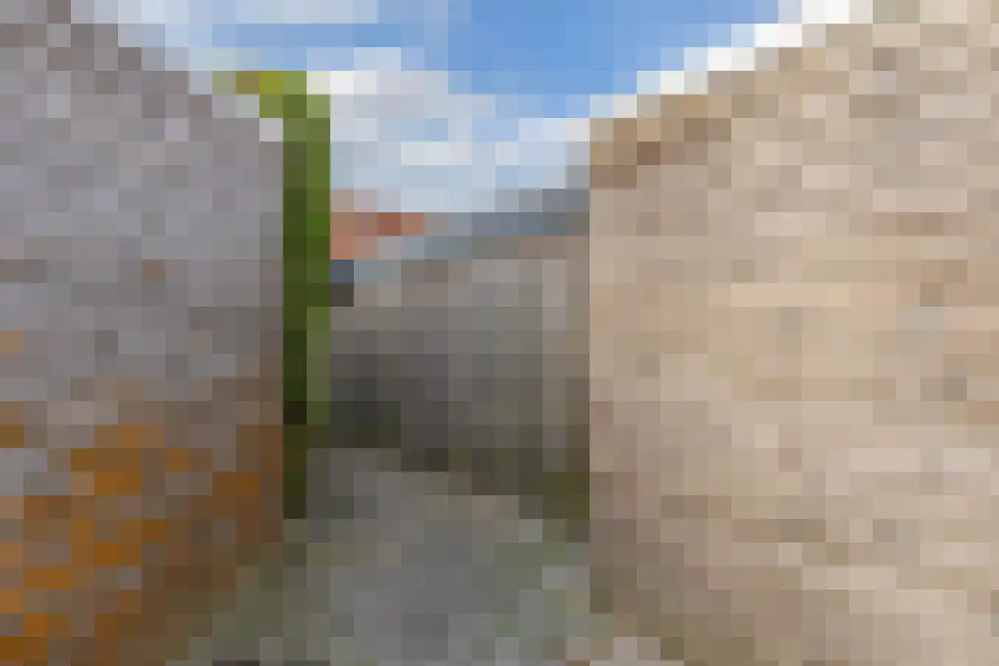Appelhofshoeve 10 Steenwijk thumbnail 36