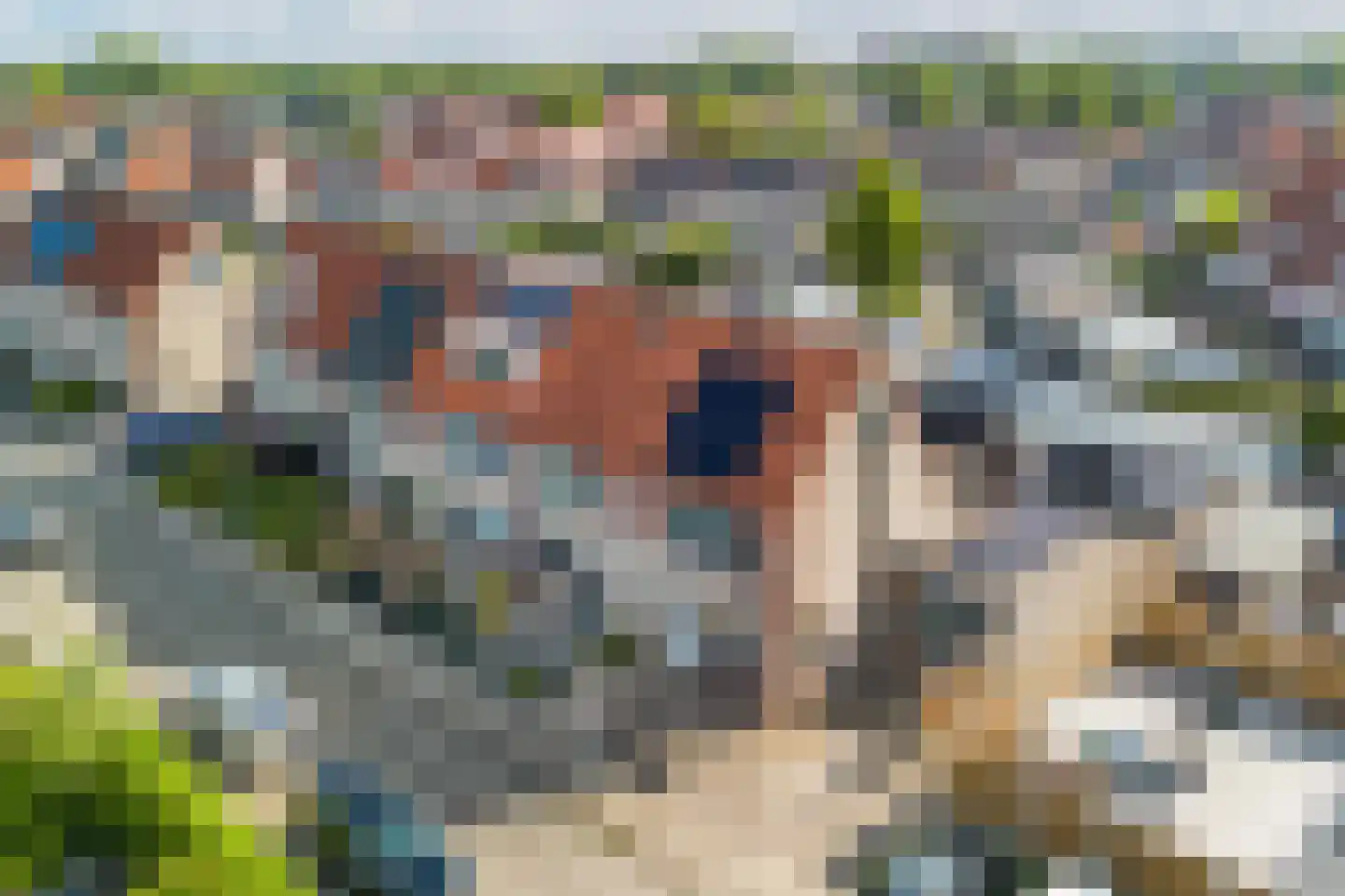 Appelhofshoeve 10 Steenwijk thumbnail 38
