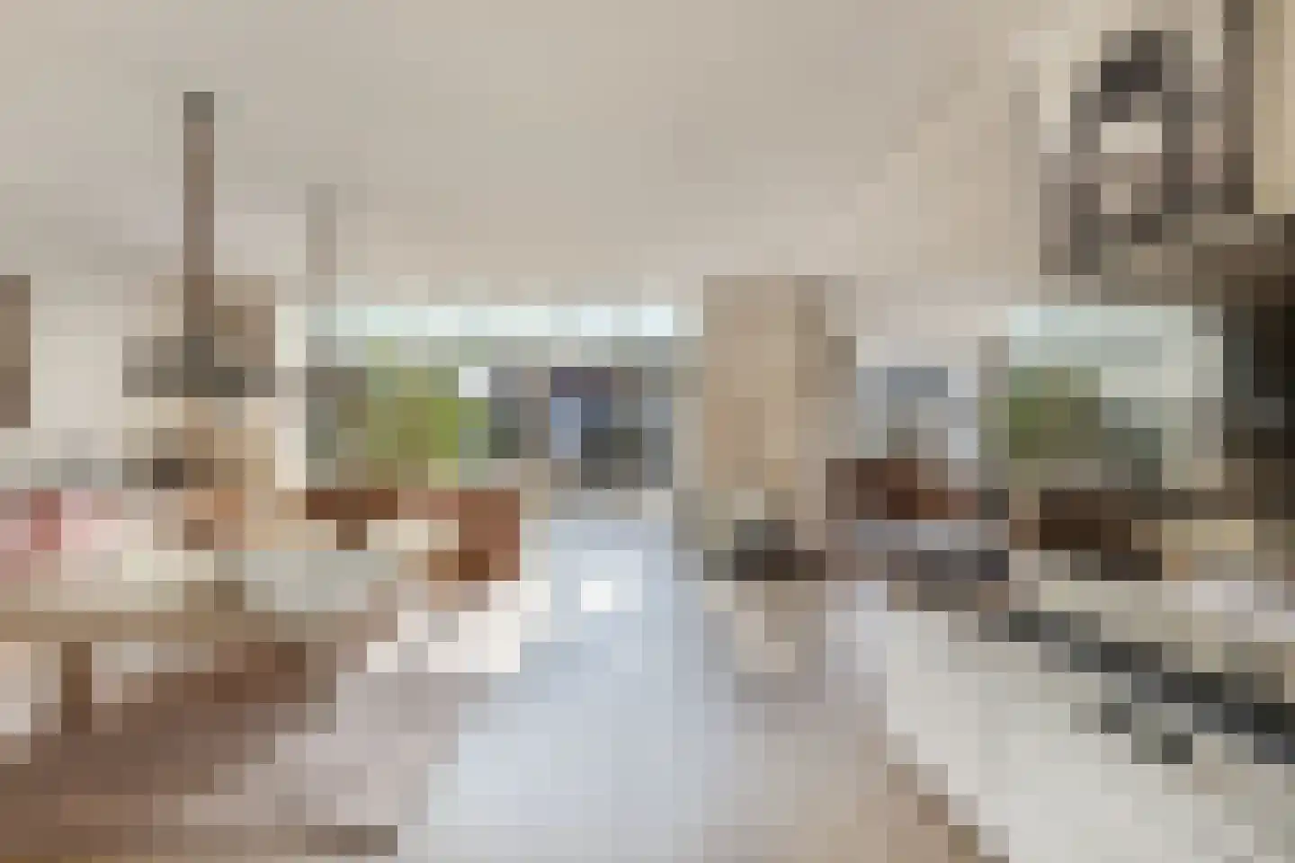 Appelhofshoeve 10 Steenwijk thumbnail 6