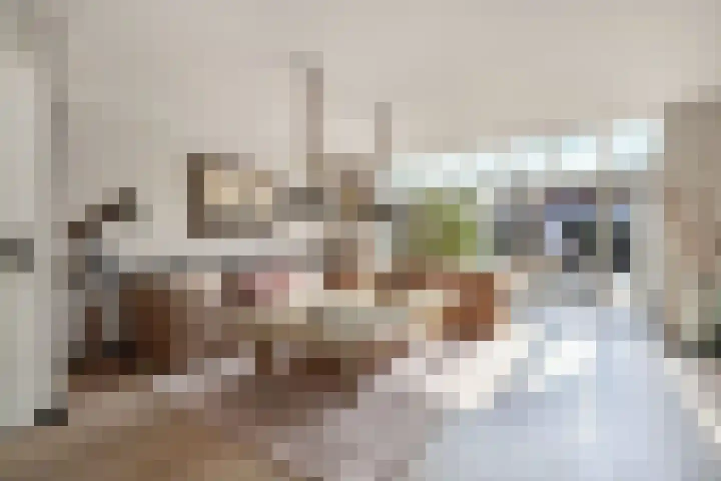 Appelhofshoeve 10 Steenwijk thumbnail 7