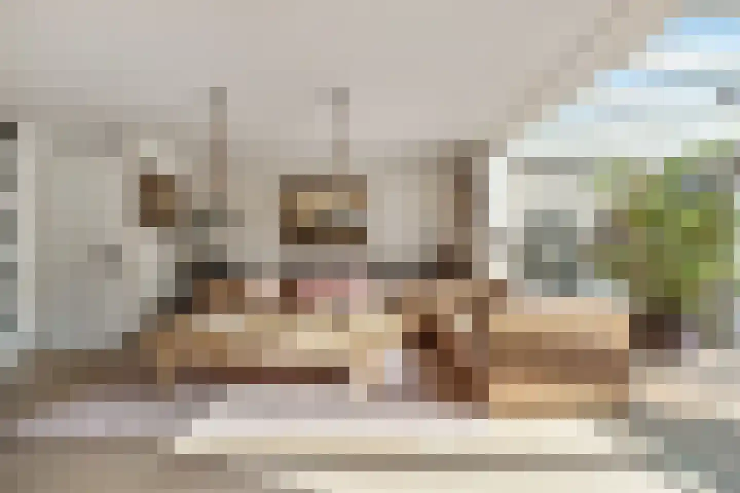 Appelhofshoeve 10 Steenwijk thumbnail 9