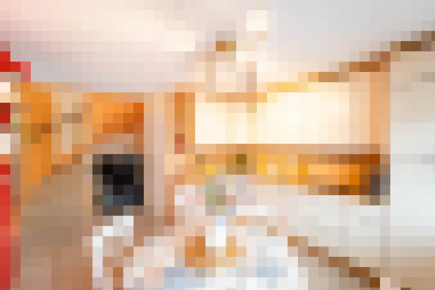 Appelhofshoeve 21 Steenwijk thumbnail 10
