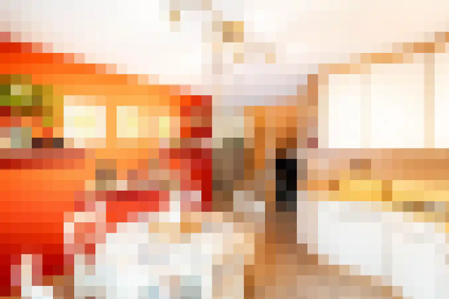 Appelhofshoeve 21 Steenwijk thumbnail 11