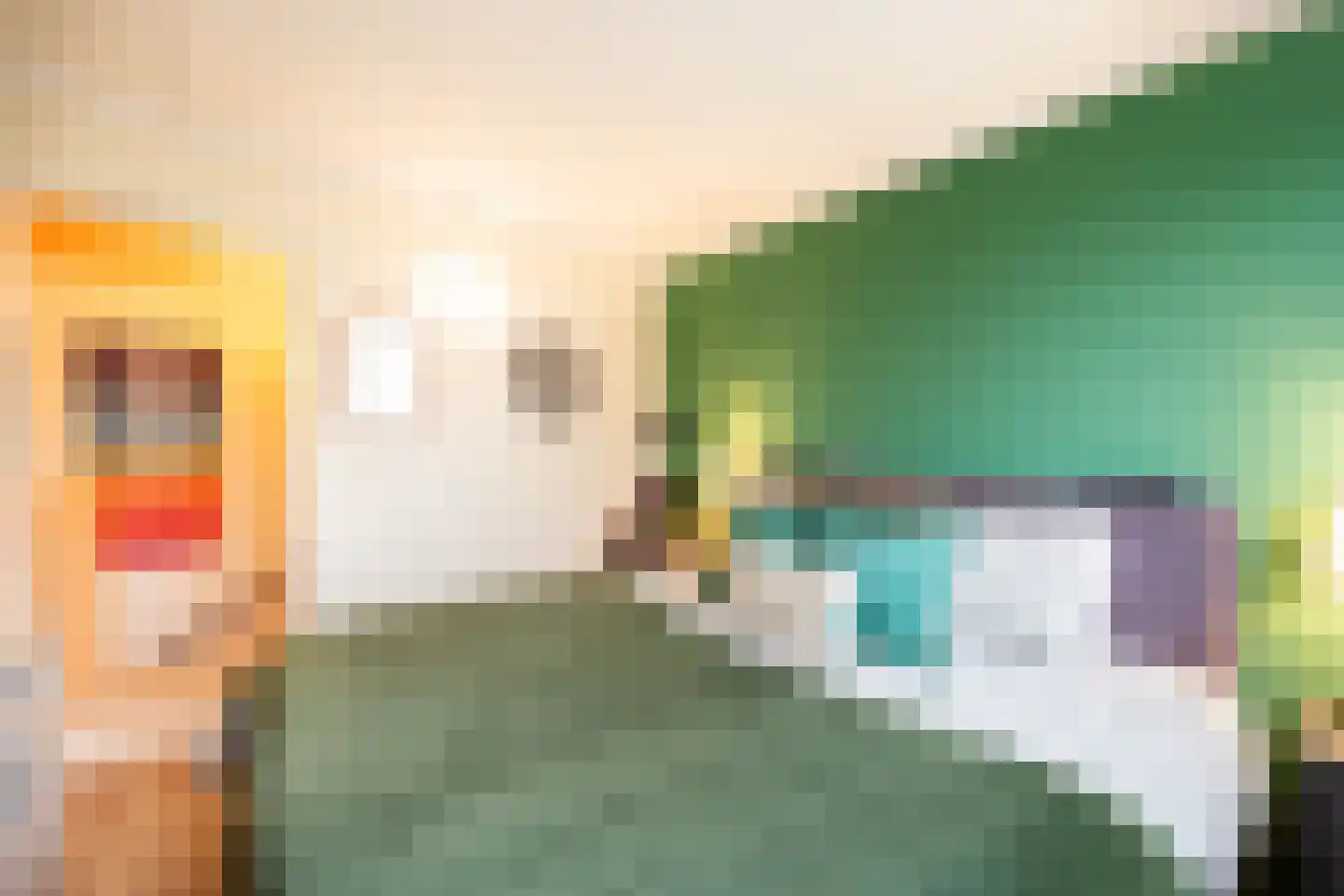 Appelhofshoeve 21 Steenwijk thumbnail 17