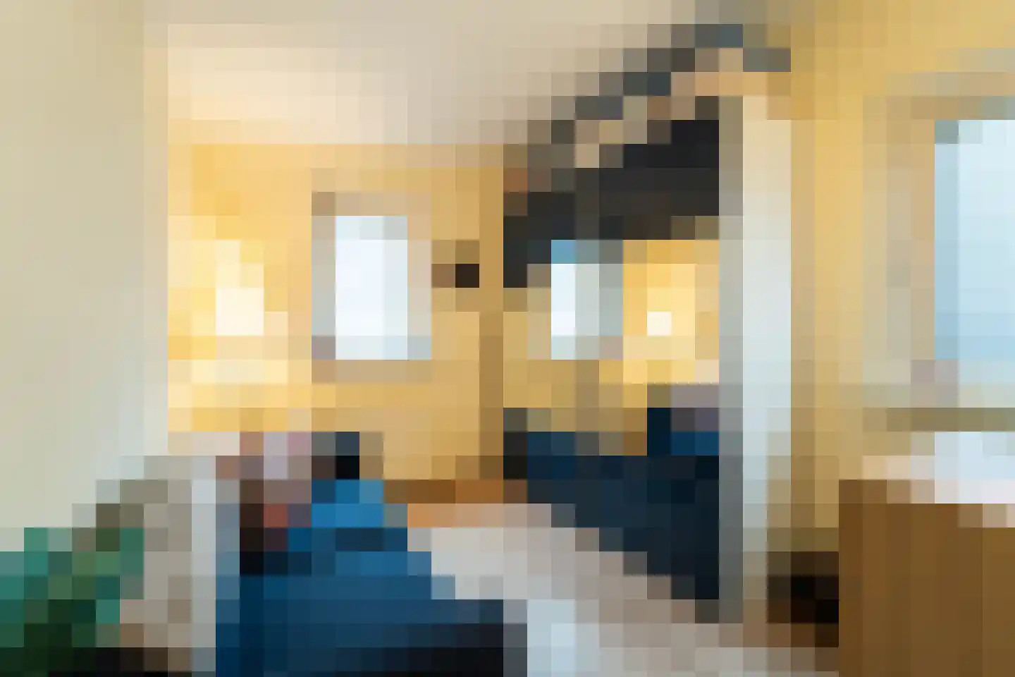 Appelhofshoeve 21 Steenwijk thumbnail 18