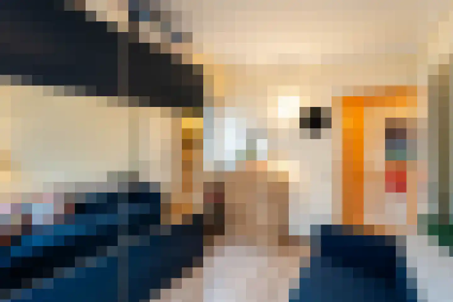 Appelhofshoeve 21 Steenwijk thumbnail 19
