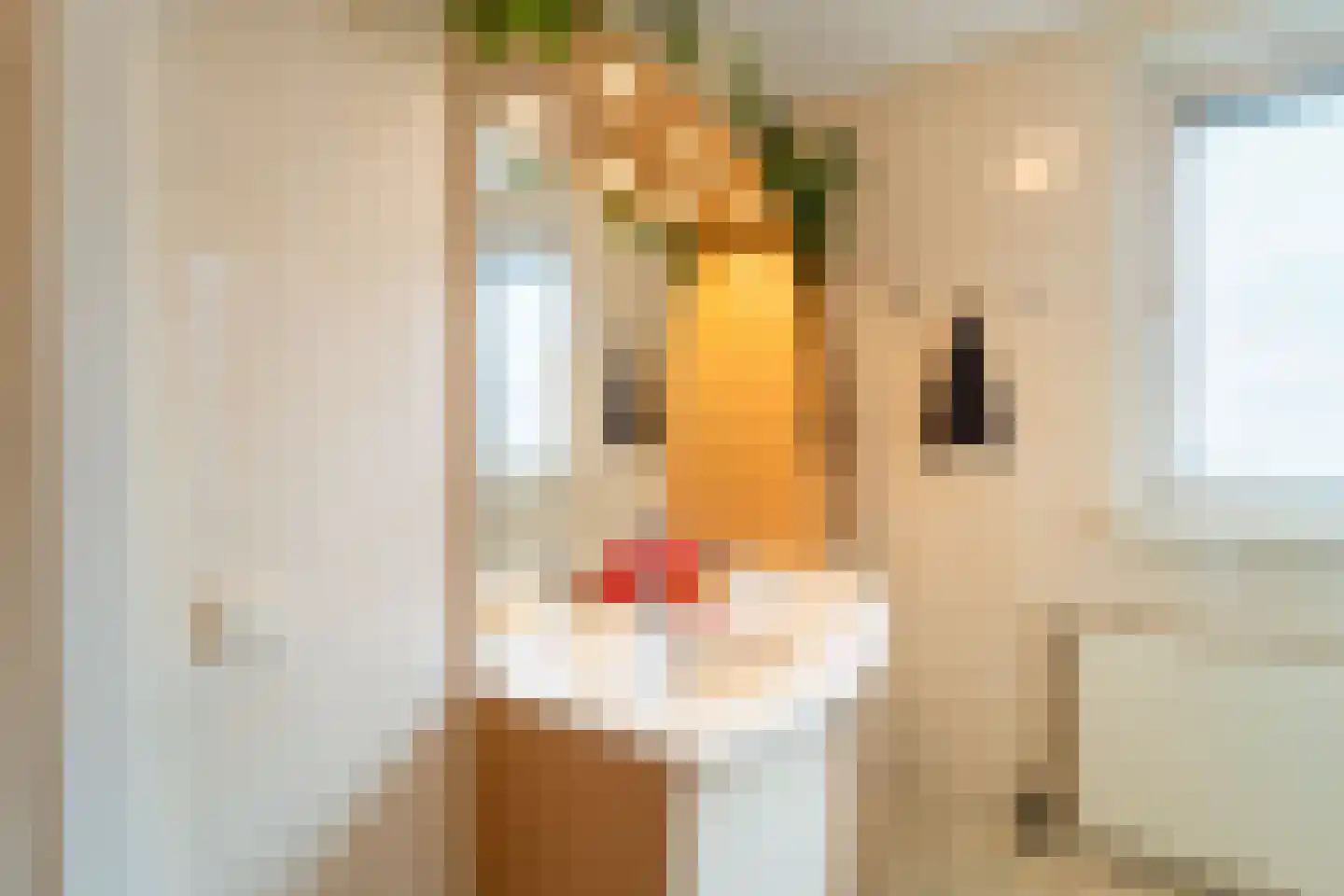 Appelhofshoeve 21 Steenwijk thumbnail 20