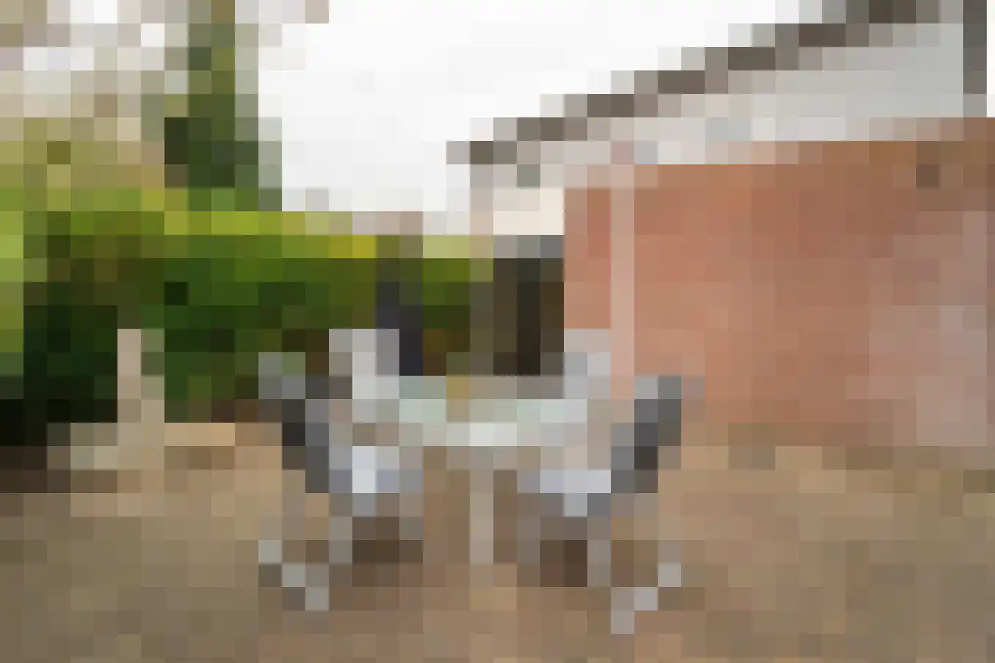 Appelhofshoeve 21 Steenwijk thumbnail 24