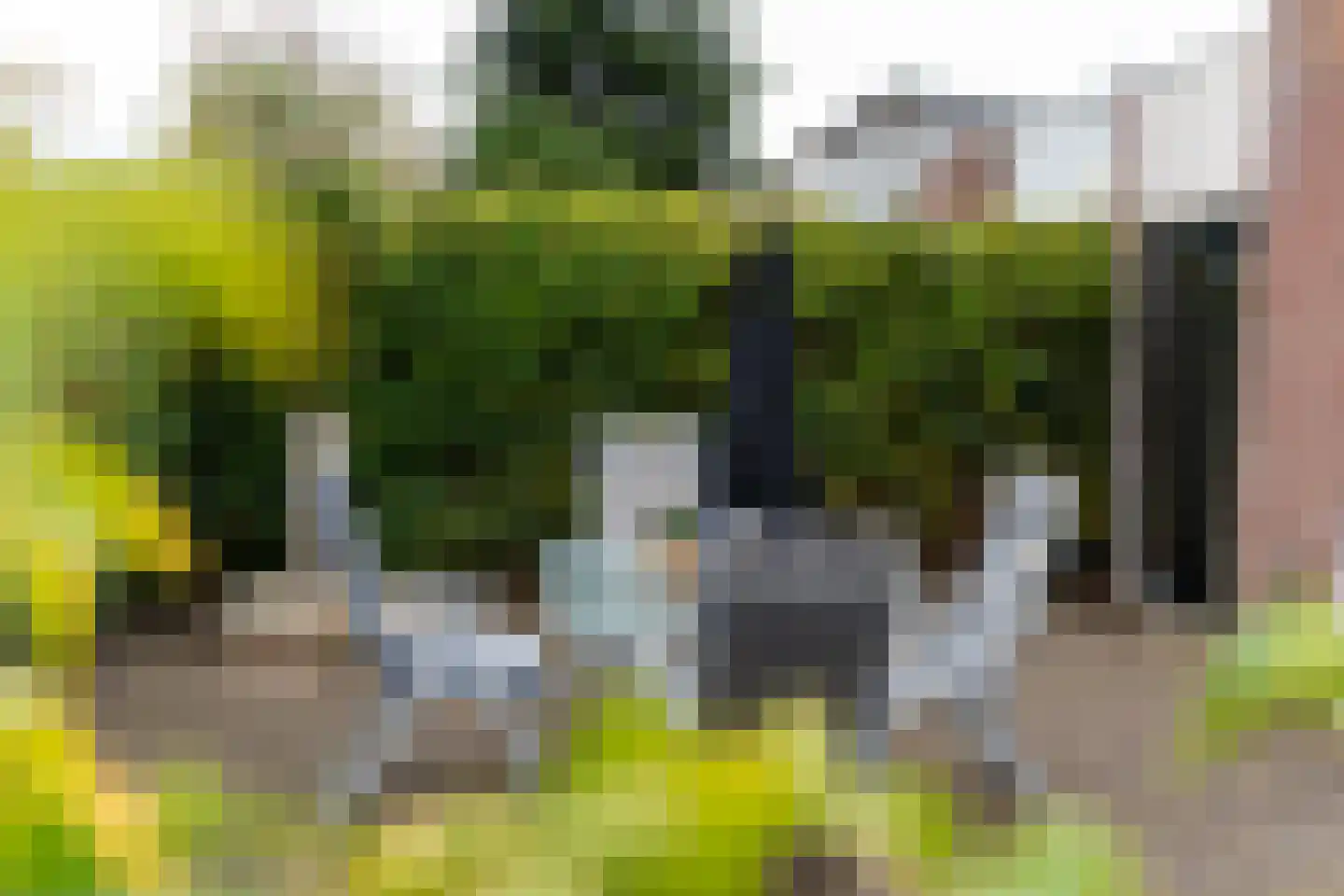 Appelhofshoeve 21 Steenwijk thumbnail 27