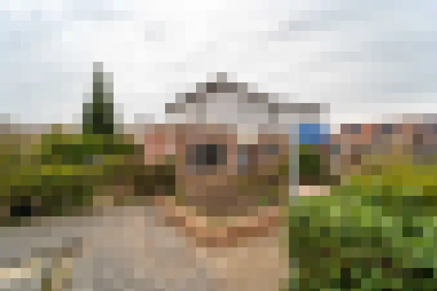 Appelhofshoeve 21 Steenwijk thumbnail 30