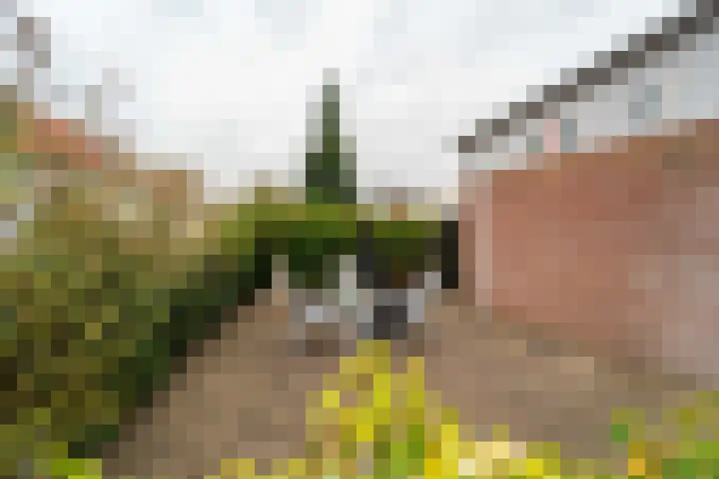 Appelhofshoeve 21 Steenwijk thumbnail 31