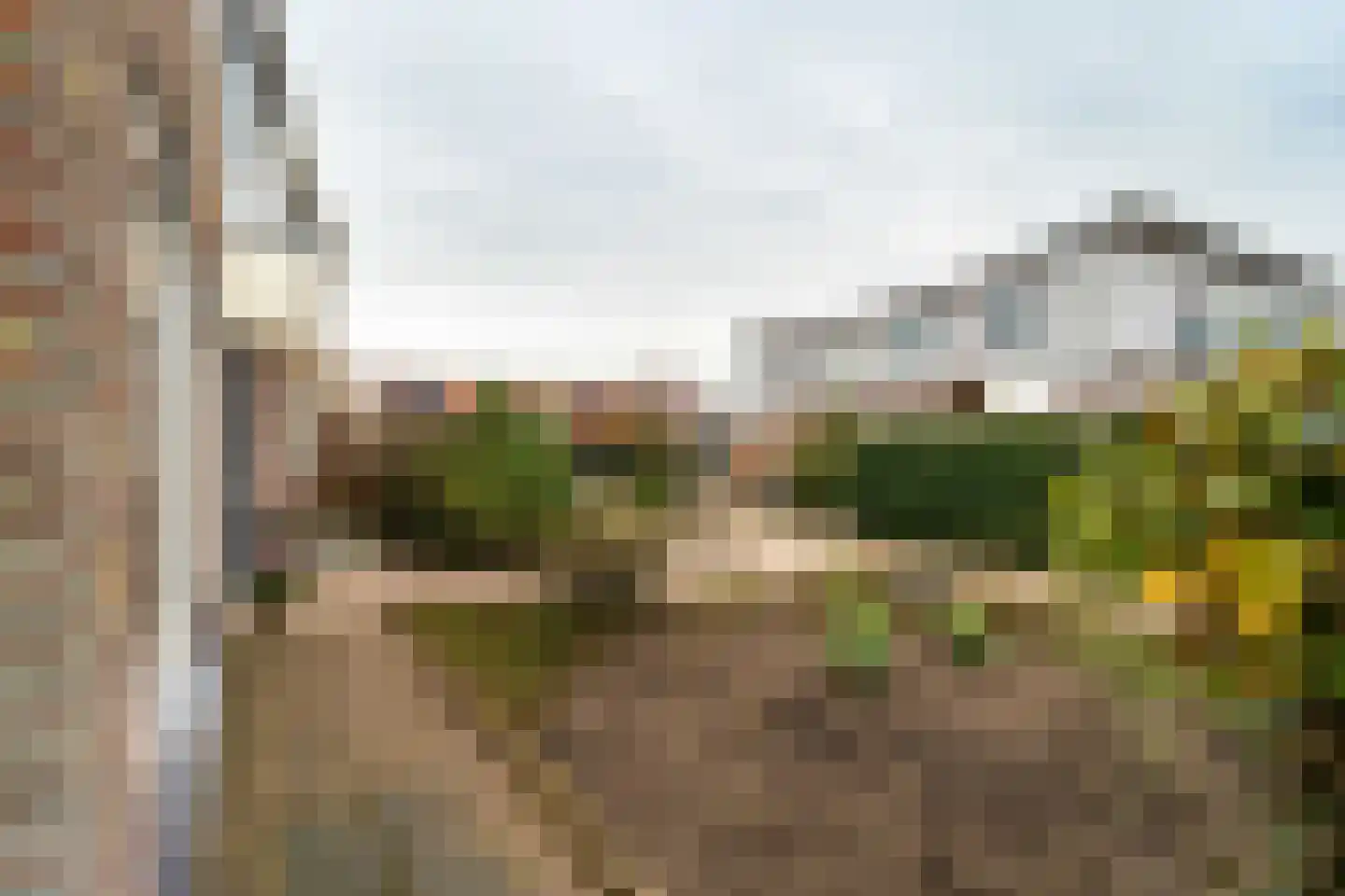 Appelhofshoeve 21 Steenwijk thumbnail 32