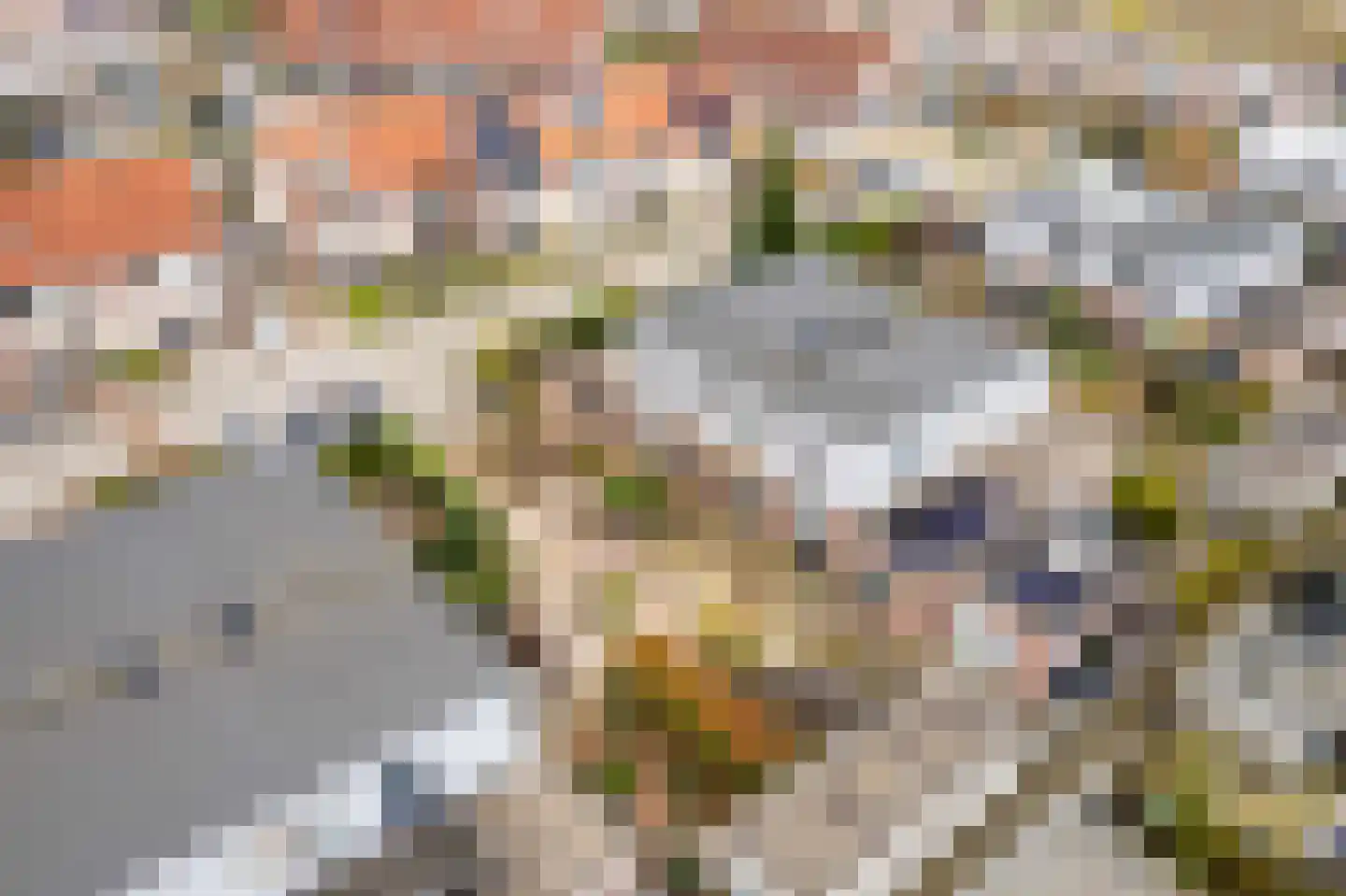 Appelhofshoeve 21 Steenwijk thumbnail 37
