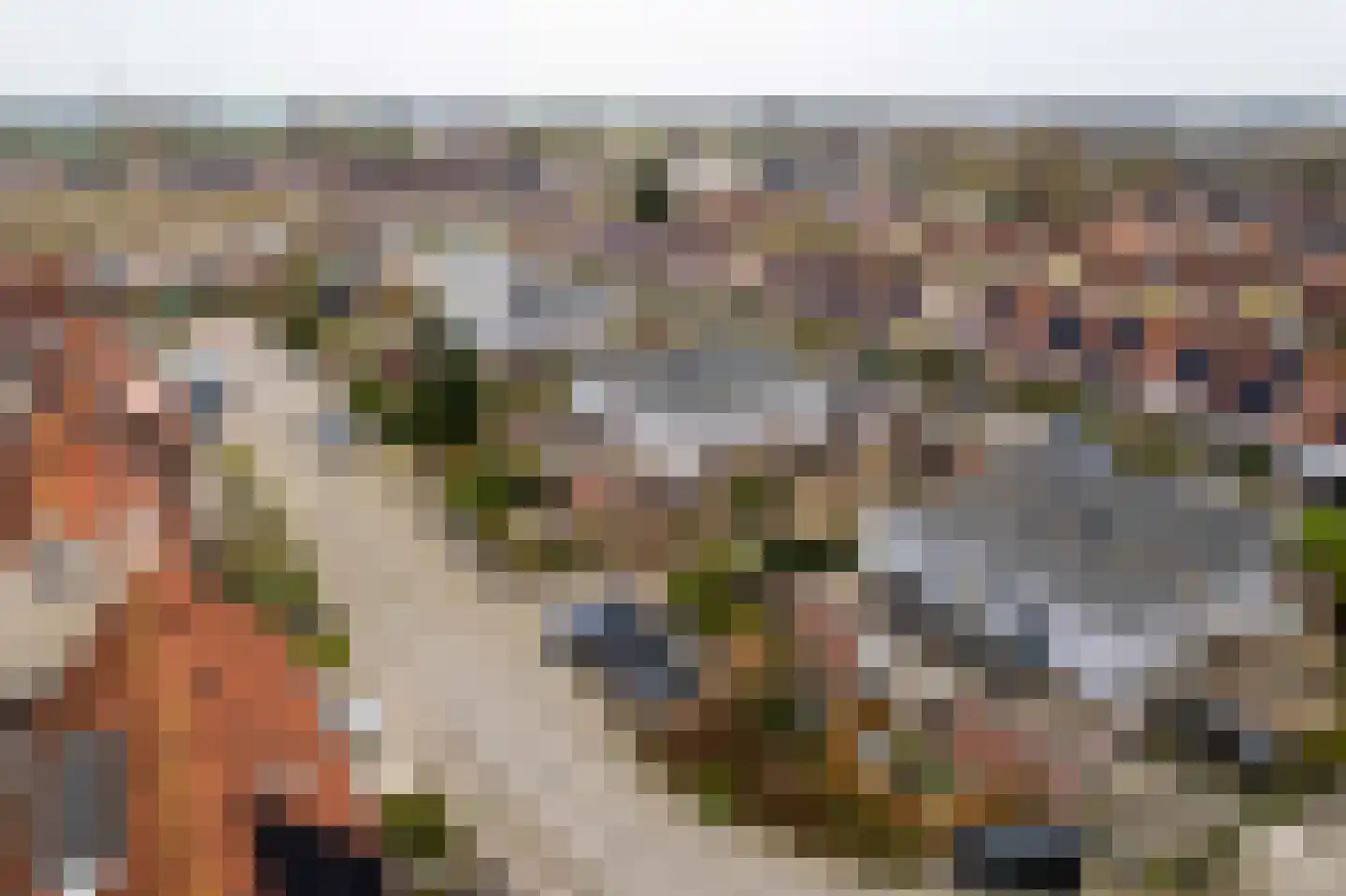 Appelhofshoeve 21 Steenwijk thumbnail 38