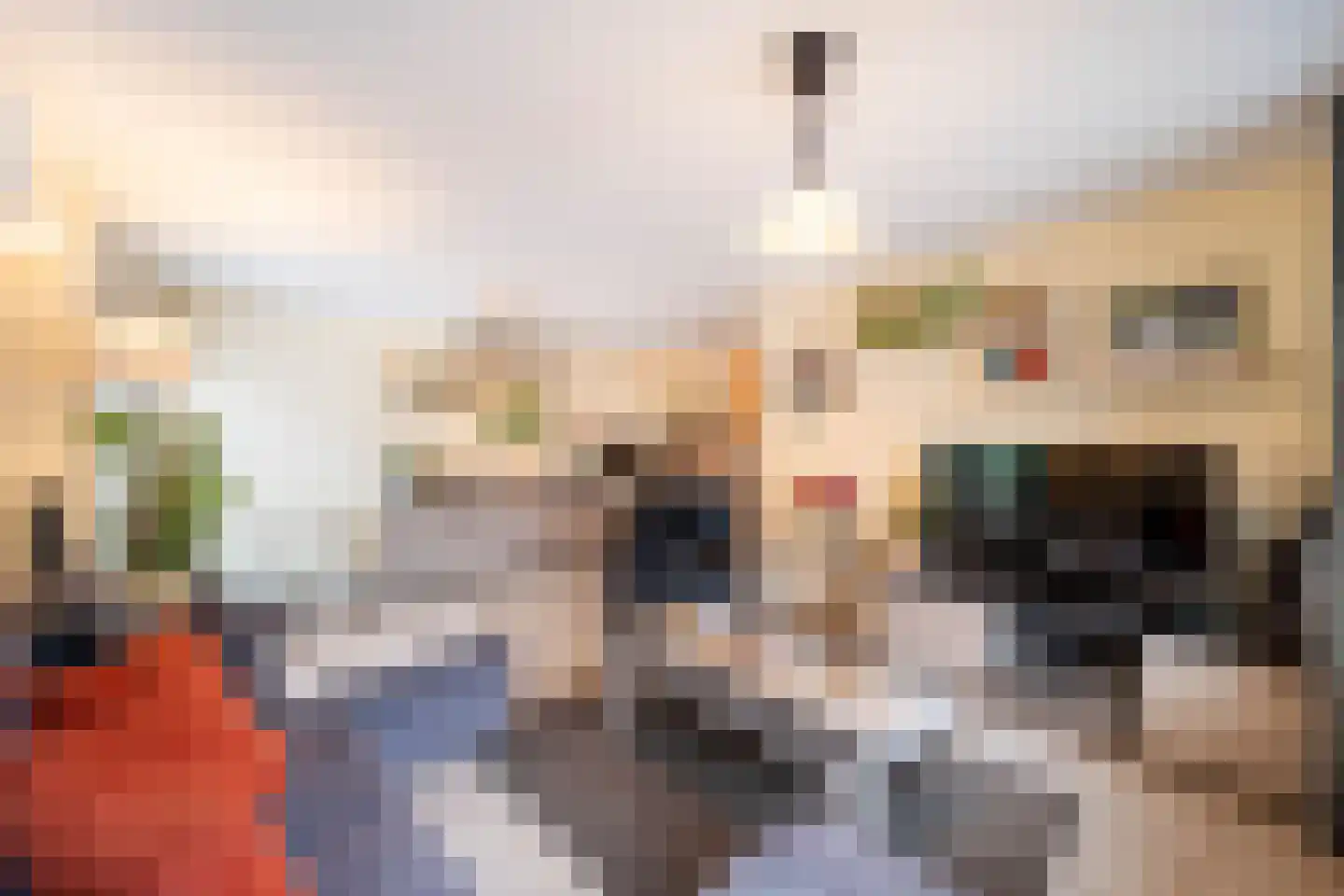 Appelhofshoeve 21 Steenwijk thumbnail 6