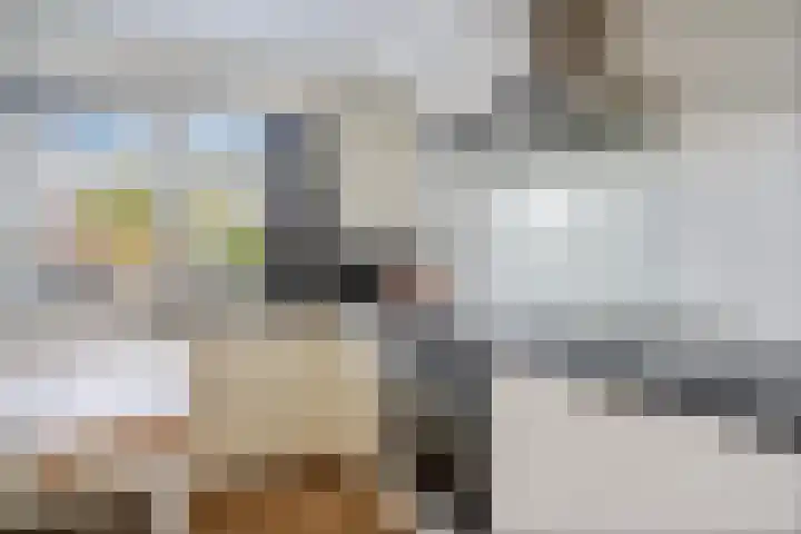 Appelhofshoeve 23 Steenwijk thumbnail 12