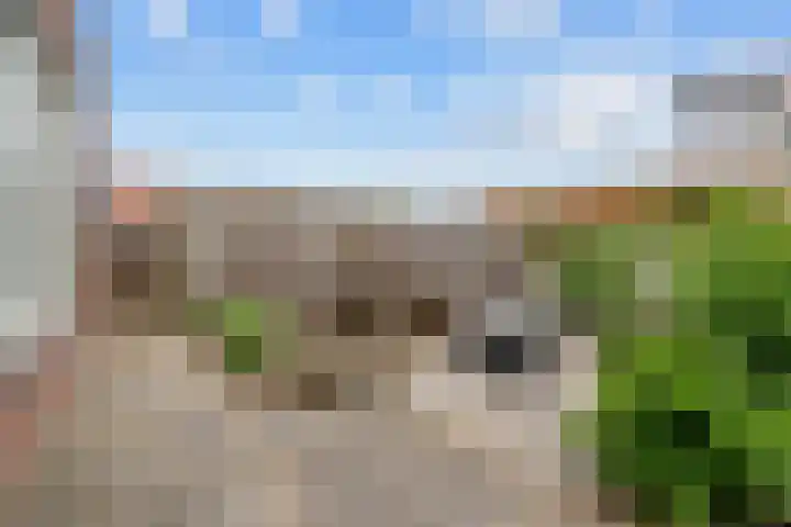 Appelhofshoeve 23 Steenwijk thumbnail 28