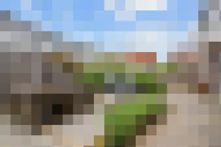 Appelhofshoeve 23 Steenwijk thumbnail 29