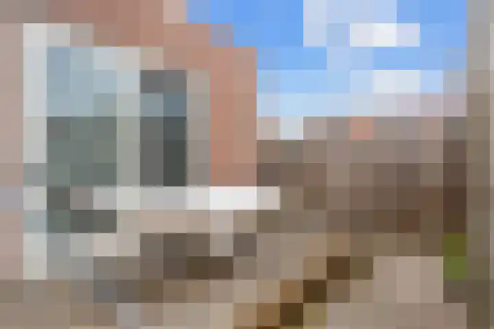 Appelhofshoeve 23 Steenwijk thumbnail 30