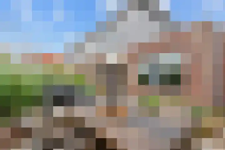 Appelhofshoeve 23 Steenwijk thumbnail 31