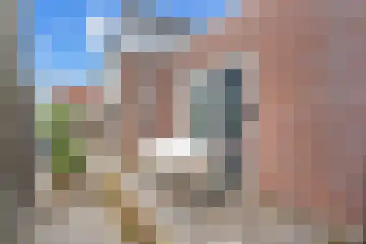 Appelhofshoeve 23 Steenwijk thumbnail 32