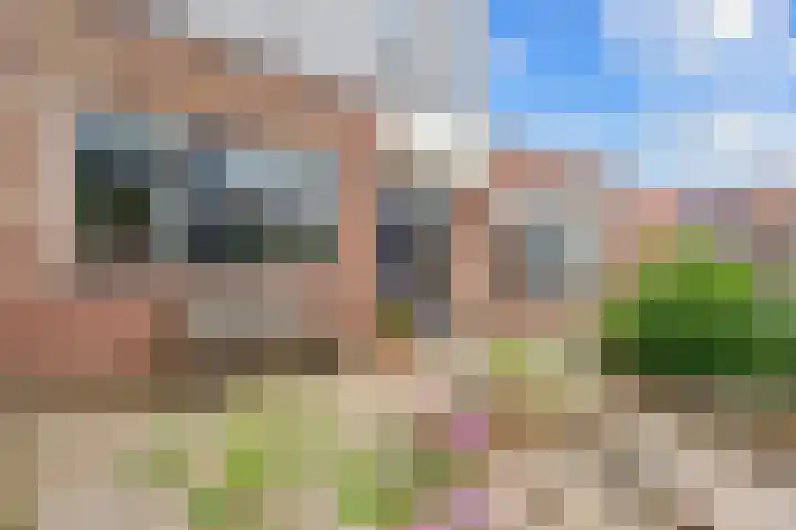Appelhofshoeve 23 Steenwijk thumbnail 33